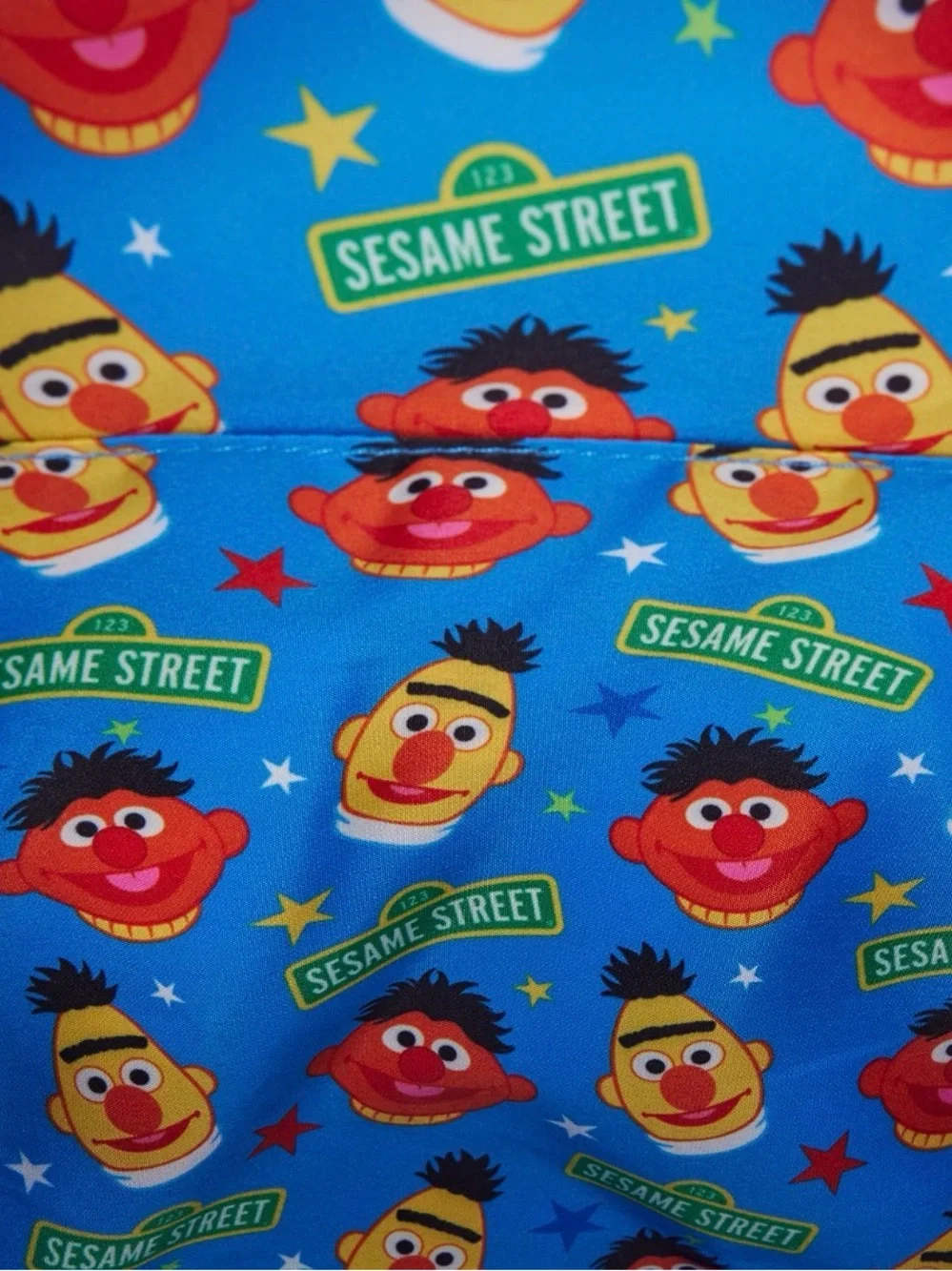 Loungefly Sesame Street Exclusive Bert & Ernie Mini Backpack